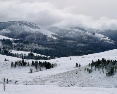YellowstoneNP-Winter Storm Watch-w.jpg