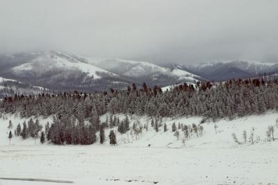 YellowstoneNP-Winter Storm Warning-w.jpg
