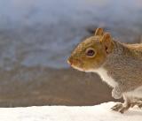DSC_7600m1000.jpg