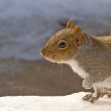 DSC_7600m800.jpg