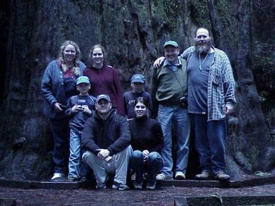In the Redwoods, 3-2002