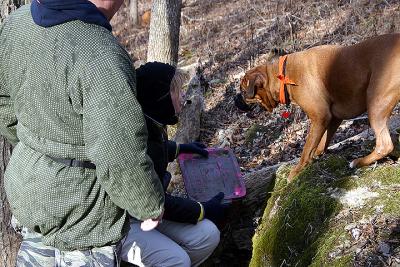 Biscuit helps Beverly with the cache by giving her a kiss.