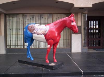 u39/doxielover1/medium/40200226.IndianHorseflipside.jpg