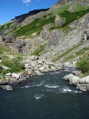 Denali  Savage River