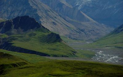 Denali  vicinity of Eielson Visitor Center