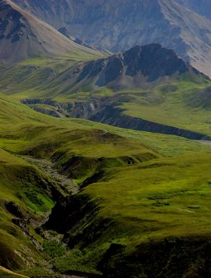 Denali  vicinity of Eielson Visitor Center