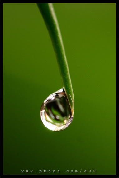 CRW_3630.jpg