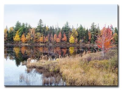Autumn Colors of New Hampshire
