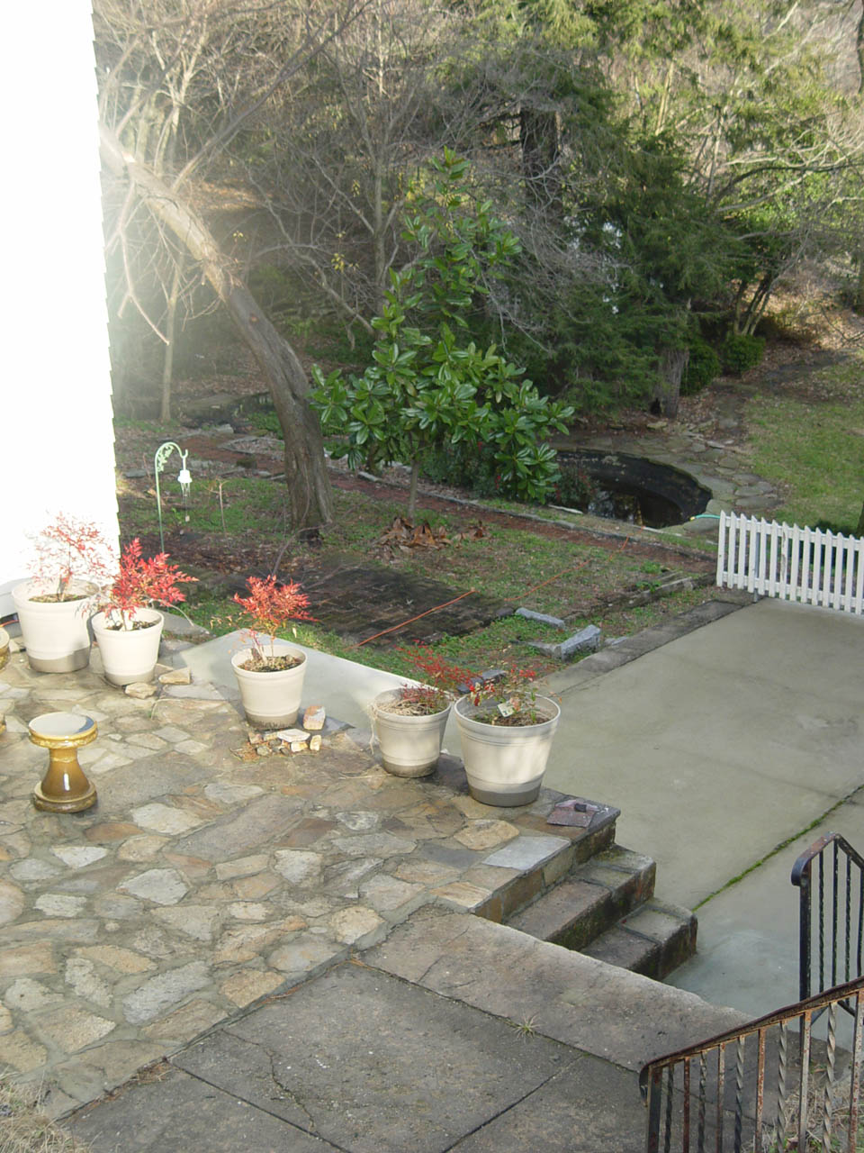 Backyard