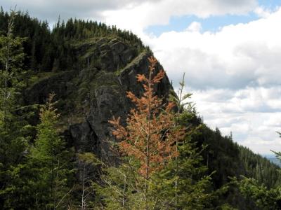 Upper Ledges from Lower Ledge