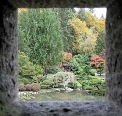 Framed Landscape