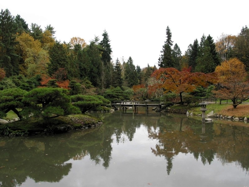 Japanese Garden