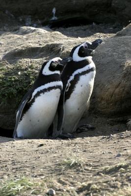 CRW_4598_RT8.jpg