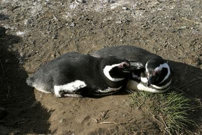 CRW_4615_RT8.jpg