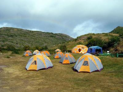 IMG_3014.jpg