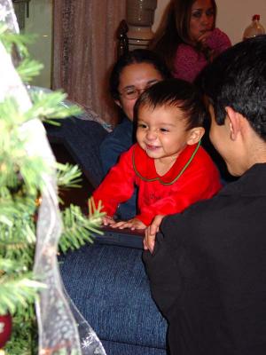 The tree is MINE!!!!