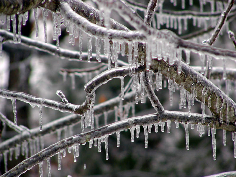 icicles