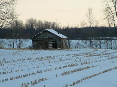 Old Shed