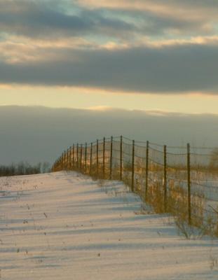 Winter Fence