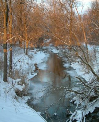 Tyler Creek