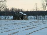 Old Shed