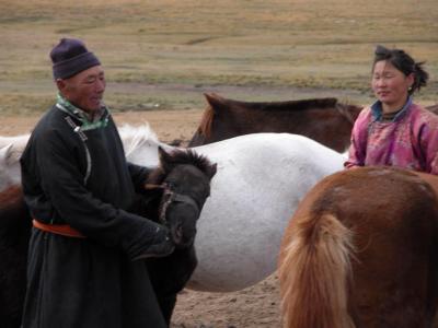 mongolian horse herders