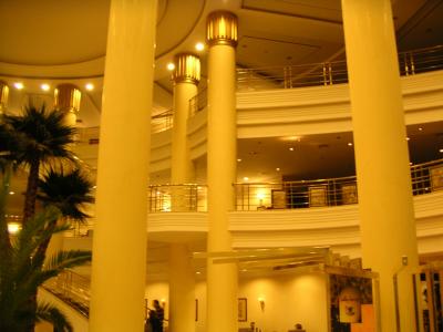 u39/gdemirer/medium/25768978.KayseriHilton.jpg