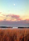 Plum Island moonrise