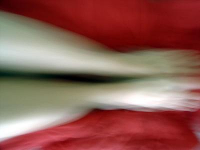 DSC00423_al.jpg