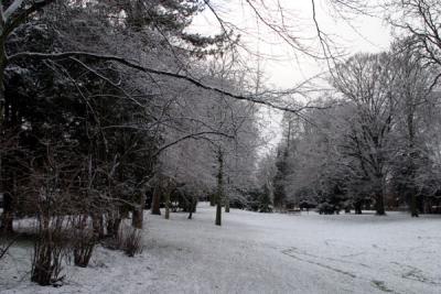 winter