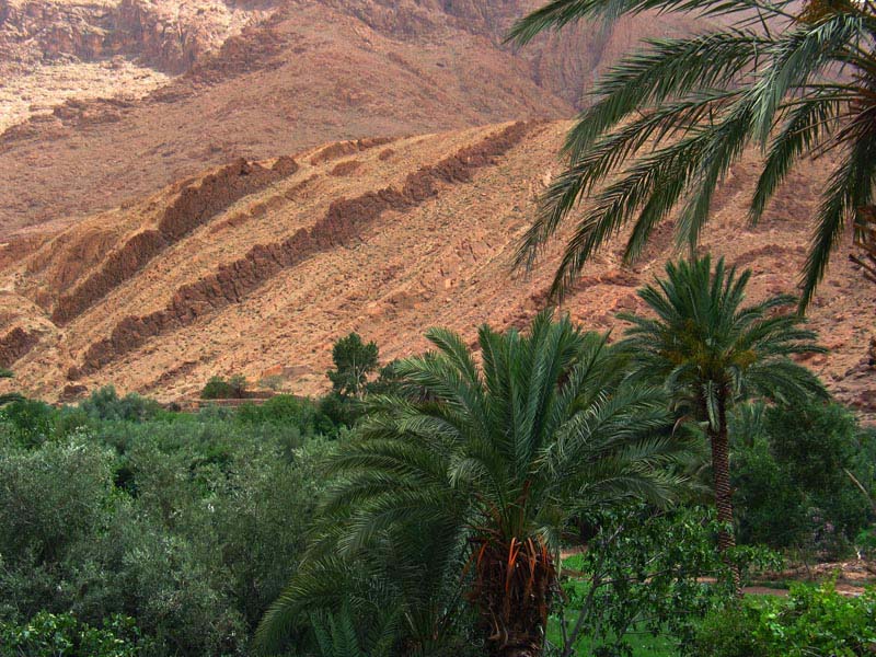 Vers les gorges de Todgha