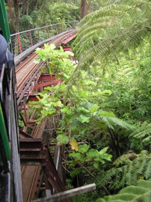 Coromandel - Regenwaldbahn, unterwegs 1.jpg