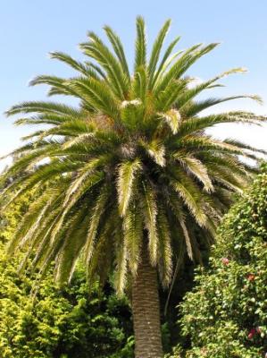 NZ - Northisland - On The Road