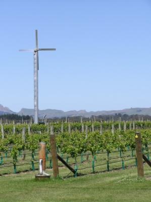 u39/goeoenk/medium/25715656.HawkesBayVines3.jpg