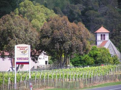 Hawkes Bay Vinery 1.jpg