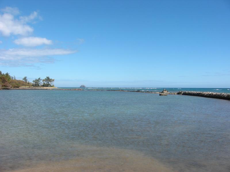 Fish Pond 2