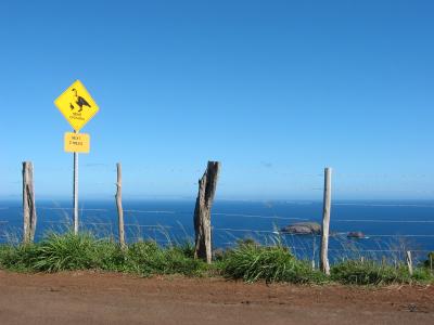 Nene Crossing