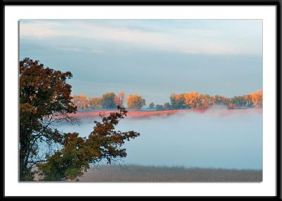 Morning Fog and Sun