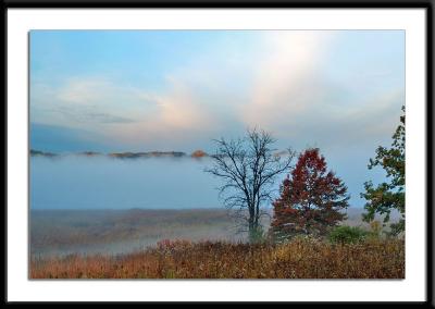 Morning Fog