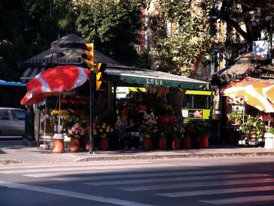 The Flower Stall.