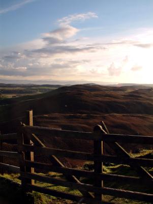 The Gate.