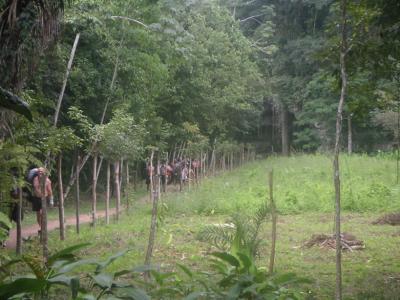 Jungle Hike / Cave Tubing