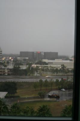 Sunday morning in Tampa.  RAIN!