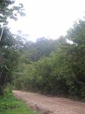 Jungle Hike / Cave Tubing