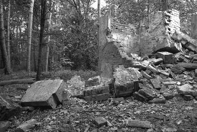 Ruins in the forrest