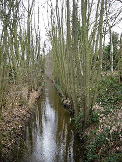 P1000200(1).JPG