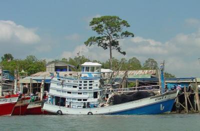 Fishing boats, Krabi
