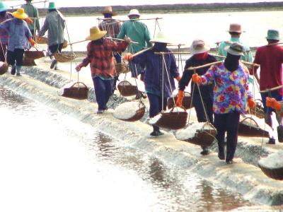 Laborers carrying salt at salt pan