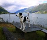 Joop's Dog Log - Thursday August 12