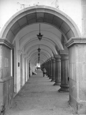 u39/hgk/medium/25629638.Image_10.jpg